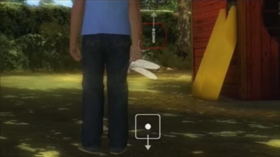 Image in-game