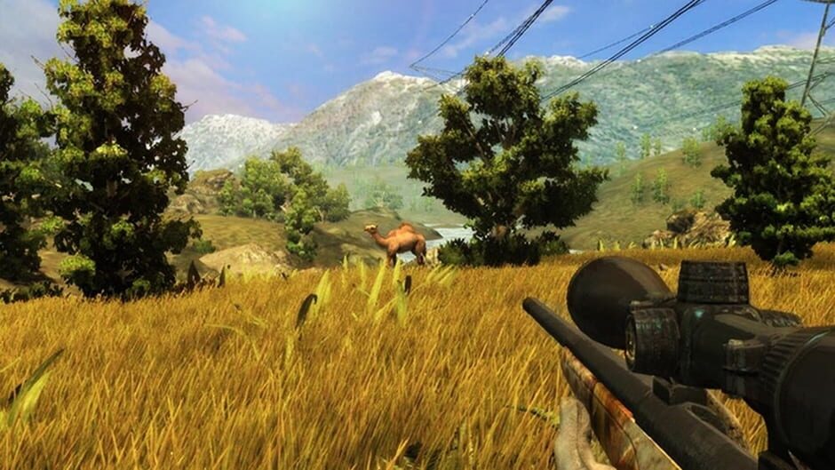 Image in-game