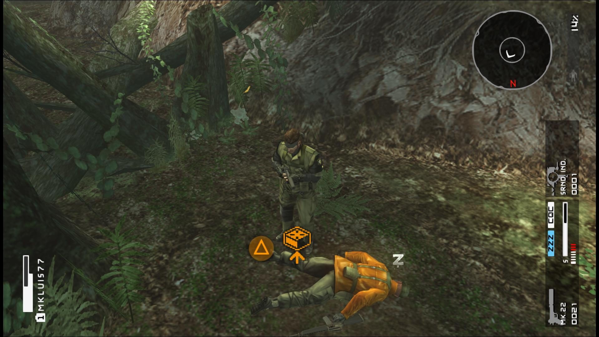 Image in-game