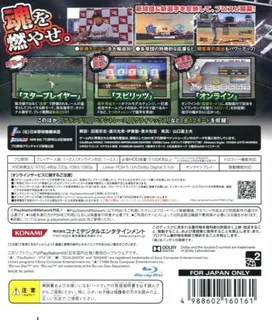 Pro Baseball Spirits 2012 dos