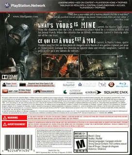 Thief dos
