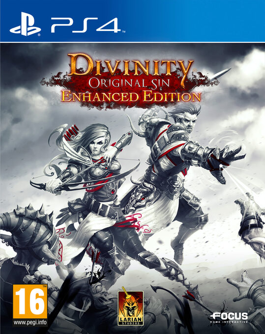 Divinity Original Sin