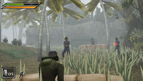 Image in-game