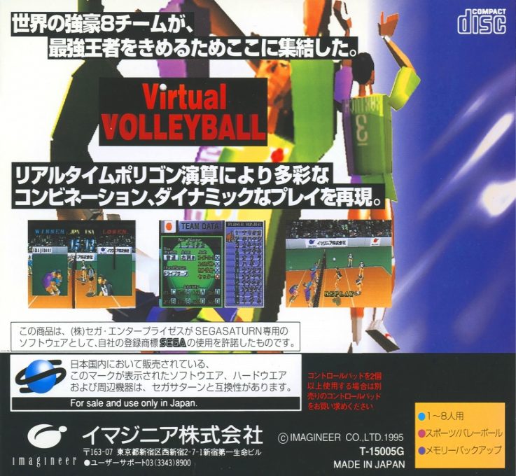 Virtual Volleyball dos