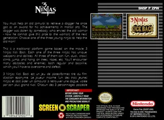 3 Ninjas Kick Back dos
