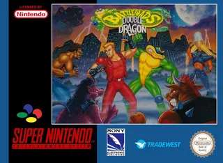 Battletoads & Double Dragon