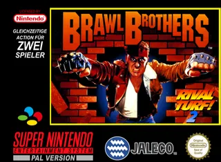 Brawl Brothers