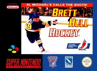 Brett Hull Hockey