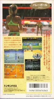 Dig & Spike Volleyball dos