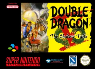 Double Dragon V : The Shadow Falls