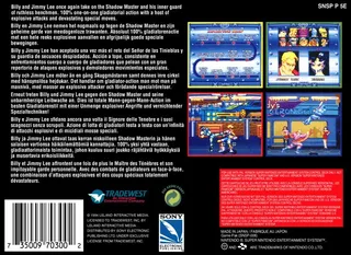 Double Dragon V : The Shadow Falls dos