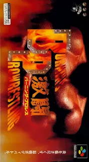 Gekitou Burning Pro Wres