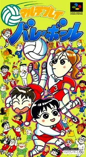 Multi Play Volleyball