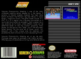 Natsume Championship Wrestling dos