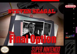 Steven Seagal Is The Final Option