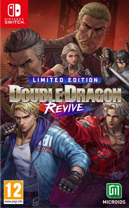 Double Dragon Revive