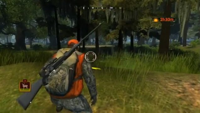 Image in-game