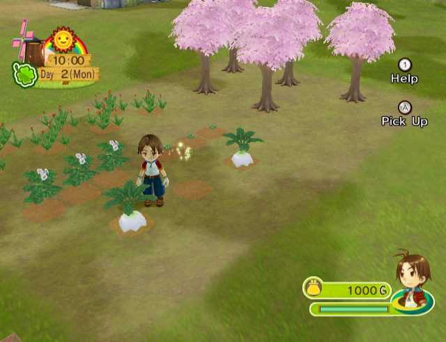 Image in-game
