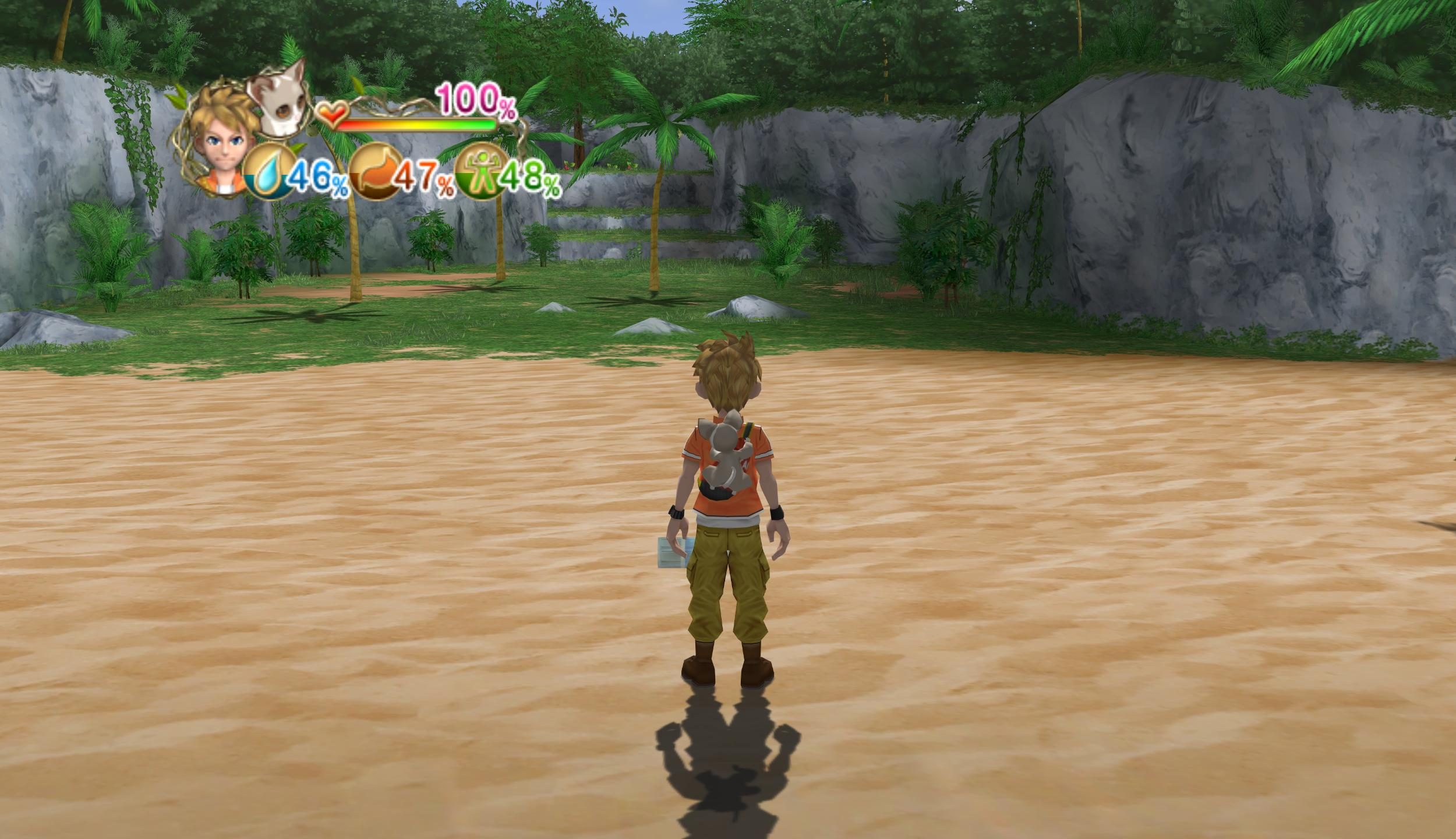 Image in-game