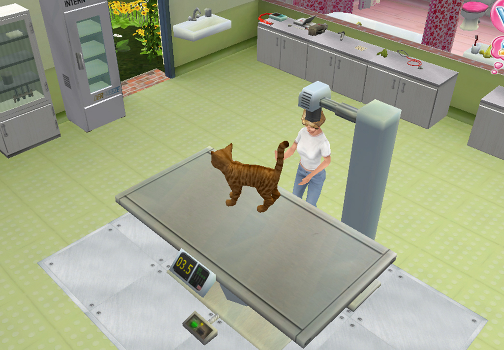 Image in-game