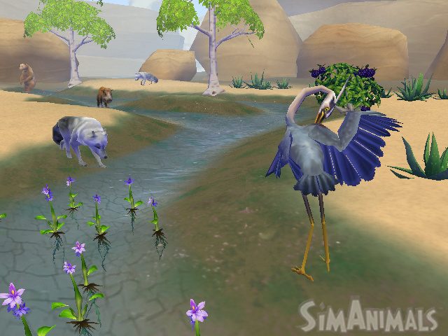 Image in-game