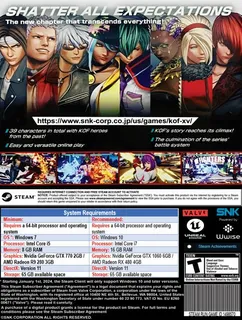 The King Of Fighters XIII dos