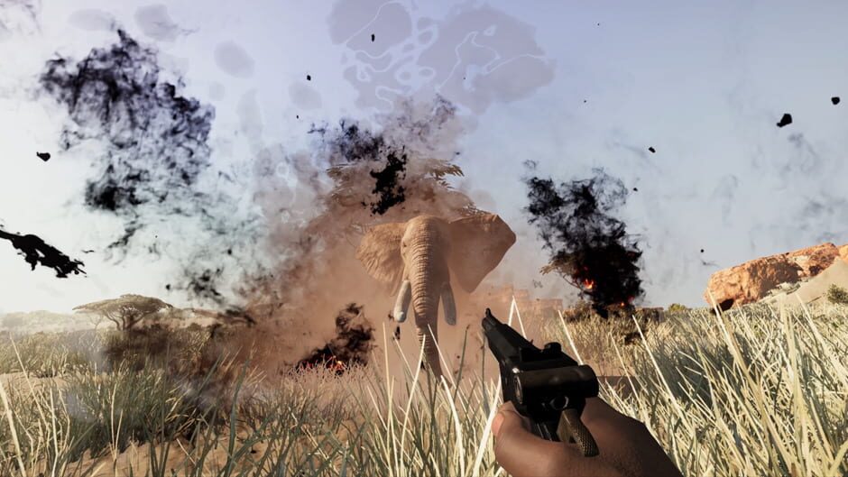 Image in-game