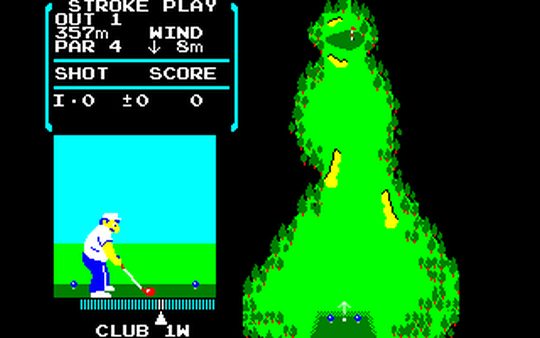 Nintendo No Golf