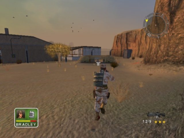 Image in-game