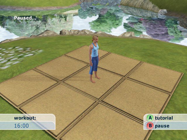 Image in-game