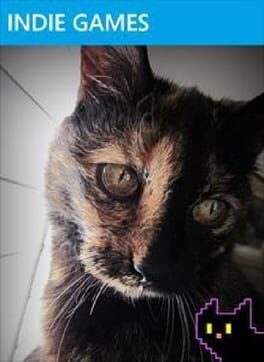 Game About My Cat, A
