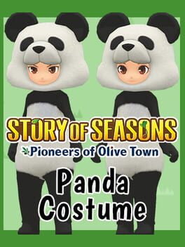 Panda Costume