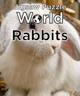 Puzzled Rabbit