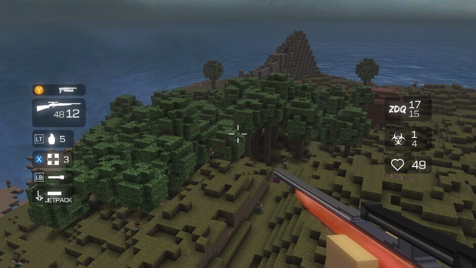 Image in-game